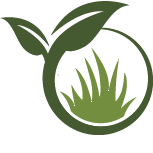 Lawn Border Installation Pros